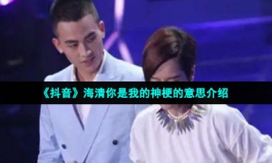 《抖音》海清你是我的神梗的意思介绍