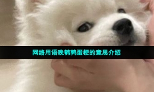 网络用语晚鹌鹑蛋梗的意思介绍