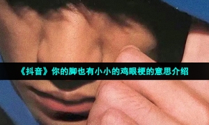 《抖音》你的脚也有小小的鸡眼梗的意思介绍