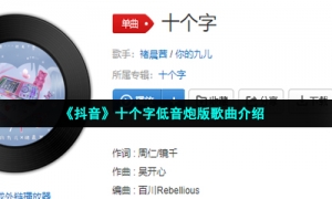 《抖音》十个字低音炮版歌曲介绍