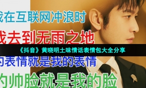 《抖音》黄晓明土味情话表情包大全分享