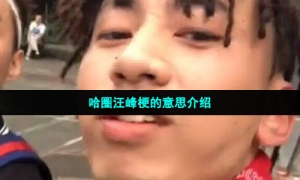 哈圈汪峰梗的意思介绍