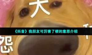 《抖音》我朋友可厉害了梗的意思介绍