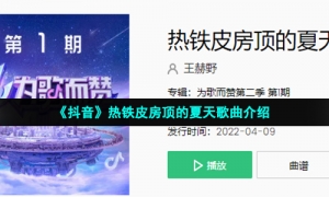 《抖音》热铁皮房顶的夏天歌曲介绍