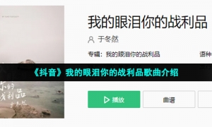 《抖音》我的眼泪你的战利品歌曲介绍