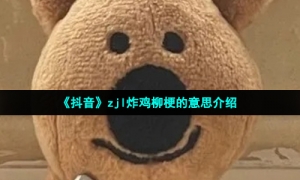 《抖音》zjl炸鸡柳梗的意思介绍