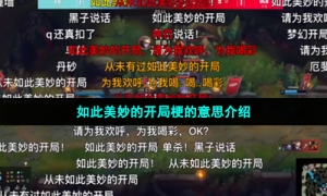 如此美妙的开局梗的意思介绍