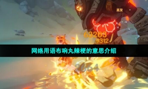 网络用语布响丸辣梗的意思介绍