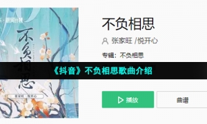 《抖音》不负相思歌曲介绍
