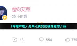 《哔哩哔哩》先来点真实的梗的意思介绍