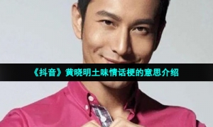 《抖音》黄晓明土味情话梗的意思介绍