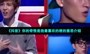 《抖音》你的奇怪是我最喜欢的梗的意思介绍