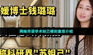 网络用语学术妲己梗的意思介绍