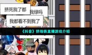 《抖音》挤地铁直播游戏介绍