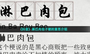 《抖音》淋巴肉包子梗的意思介绍