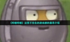 《哔哩哔哩》运营不存在的游戏梗的意思介绍