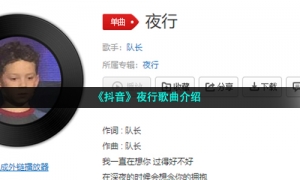 《抖音》夜行歌曲介绍