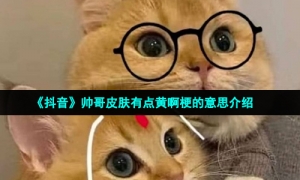 《抖音》帅哥皮肤有点黄啊梗的意思介绍