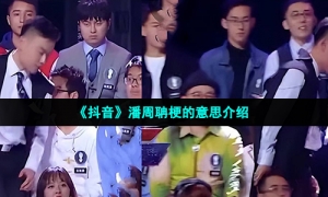 《抖音》潘周聃梗的意思介绍