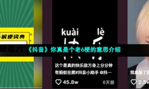 《抖音》你真是个老6梗的意思介绍
