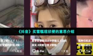 《抖音》买雪糕现状梗的意思介绍
