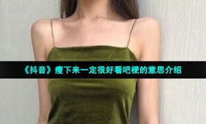 《抖音》瘦下来一定很好看吧梗的意思介绍