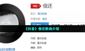 《抖音》偿还歌曲介绍