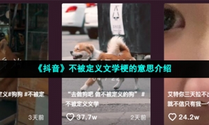 《抖音》不被定义文学梗的意思介绍