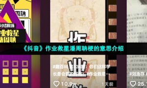 《抖音》作业救星潘周聃梗的意思介绍