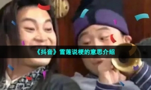 《抖音》雪莲说梗的意思介绍