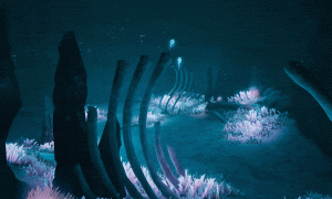 8月12日，废土中的新希望，去往大海的方向！