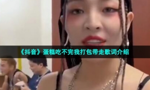 《抖音》蛋糕吃不完我打包带走歌词介绍