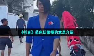《抖音》蓝色妖姬梗的意思介绍
