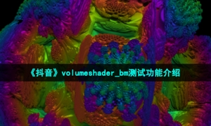 《抖音》volumeshader_bm测试功能介绍