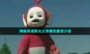 网络用语娇夫文学梗的意思介绍