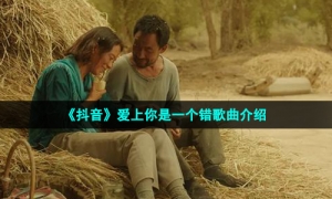 《抖音》爱上你是一个错歌曲介绍