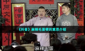 《抖音》麻辣毛蛋梗的意思介绍