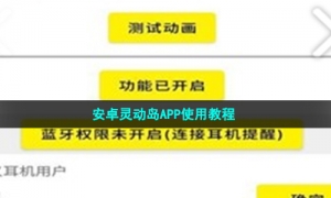 安卓灵动岛APP使用教程
