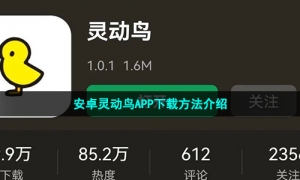 安卓灵动鸟APP下载方法介绍