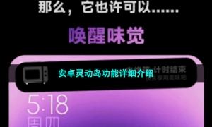 安卓灵动岛功能详细介绍