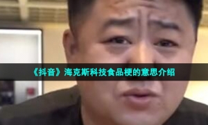 《抖音》海克斯科技食品梗的意思介绍