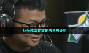 Sofm越南首富梗的意思介绍