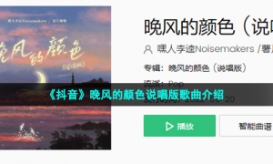 《抖音》晚风的颜色说唱版歌曲介绍