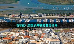 《抖音》法国沙滩梗的意思介绍