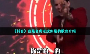 《抖音》我是老虎老虎你是豹歌曲介绍