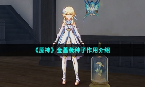 《原神》金蔷薇种子作用介绍