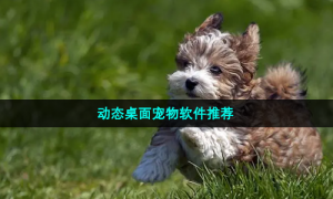 动态桌面宠物软件推荐