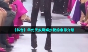 《抖音》华伦天奴蝴蝶步梗的意思介绍