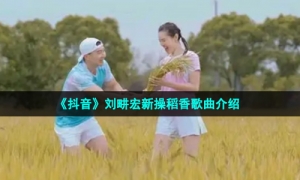 《抖音》刘畊宏新操稻香歌曲介绍