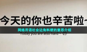 网络用语社会边角料梗的意思介绍